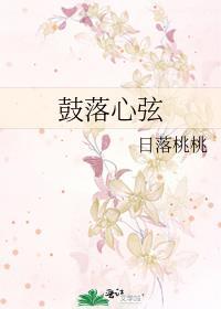 心鼓弦秘籍