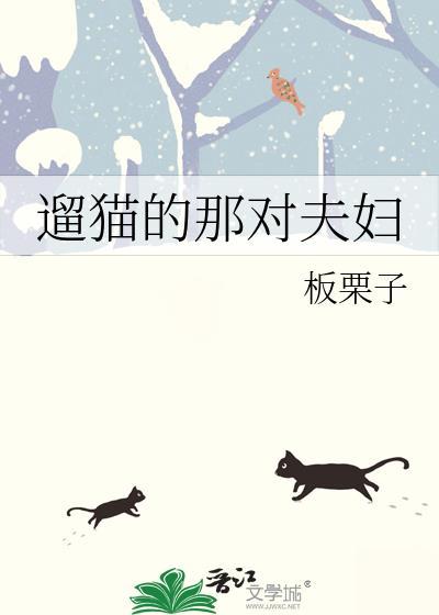 遛猫对猫好不好