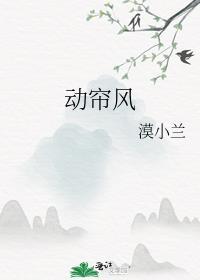 动帘风 漠小兰讲的什么