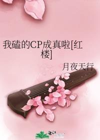 我磕的cp成真了免费阅读