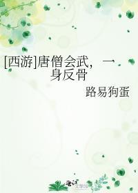 唐僧会武术
