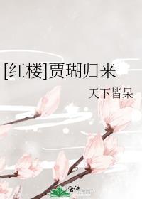 红楼之贾瑚有异能全文阅读