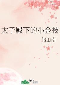 太子殿下的小金枝番外免费阅读