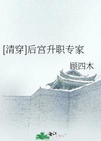 清穿后宫升职专家txt百度