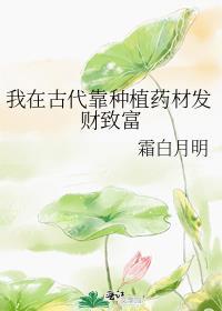 我在古代靠科研富甲一方