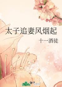 太子追妻风烟起全文番外