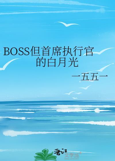 首席执行官兼总裁