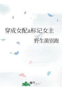 穿成女配标记女主的