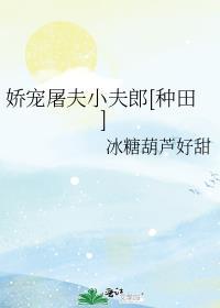 娇宠屠夫小夫郎种田冰糖葫芦阅读