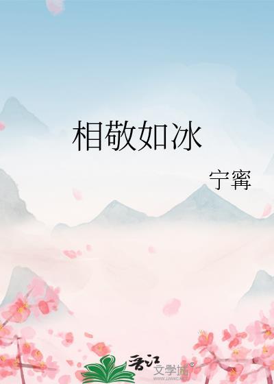 相敬如冰 宁寗 txt