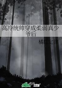 高冷统帅穿成柔弱真少爷后笔趣阁
