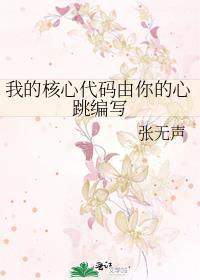 你的核心代码是什么
