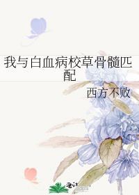 我与白血病男友的魔兽生活