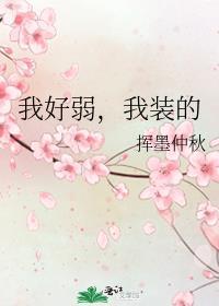 装弱的我容易吗简介