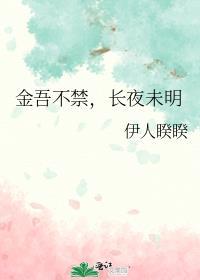 金吾不禁长夜未明免费阅读讲的什么