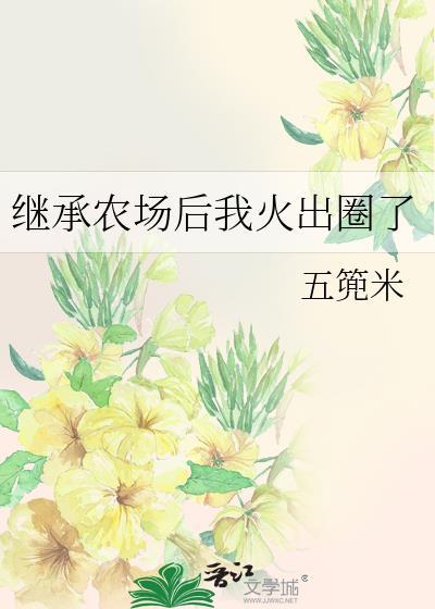 继承家产后我风