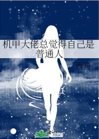 机甲大师综艺