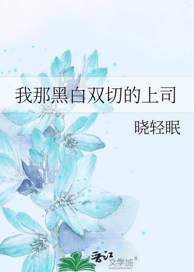 我那黑白双切的上司晓轻梅