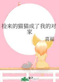 捡来的猫猫成了我的对家百度
