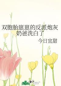 帝师攻略沈抚免费阅读