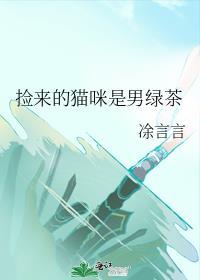捡来的猫猫有什么说法