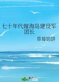 七十年代嫁海岛建设军团长免费