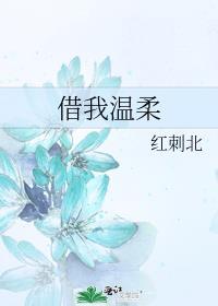 笨蛋美人扮演炮灰