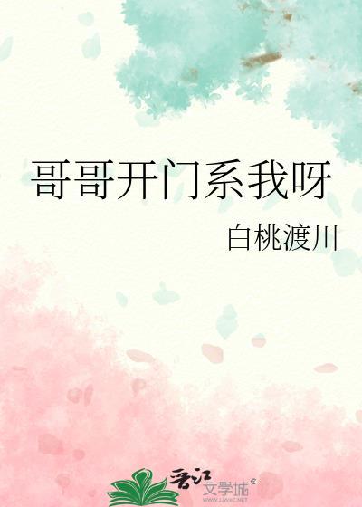 哥哥开门系我呀晋江
