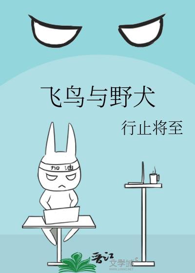 飞鸟与野犬免费阅读完整版