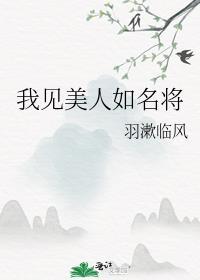 我见美人如名将大结局