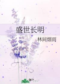 盛世长明大概讲什么的
