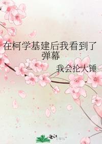 在柯学基建后我看到了弹幕免费