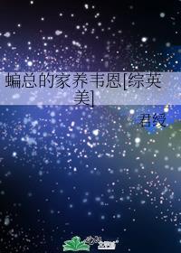 综英美韦恩家的小蝙蝠崽38