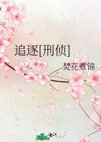 沉溺晚星讲的什么