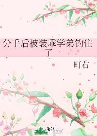 分手后我被学长带走了