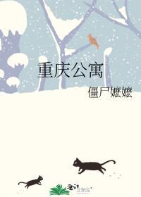 重庆公寓txt