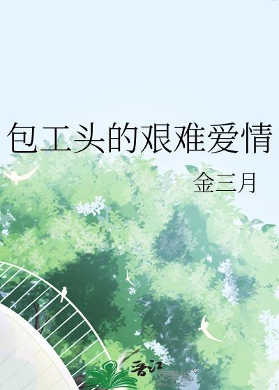 包工头的艰难爱情 作者金三