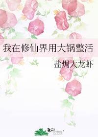 我在修仙界用大锅整活晋江