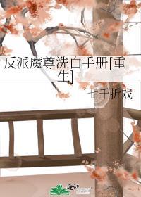 反派魔尊书旗