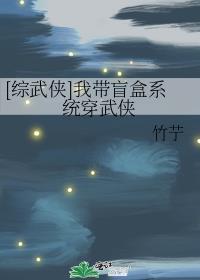 我带盲盒系统穿武侠百度