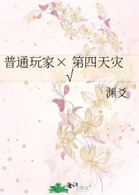 第四天灾玩家流全