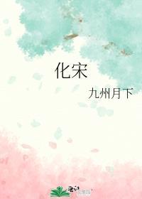 化宋txt百度提取码