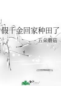 假千金回家种田了番外