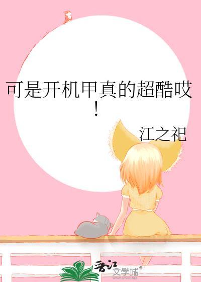 开机甲游戏