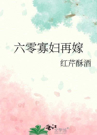 六零寡妇再嫁讲的什么故事