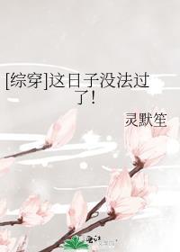综这日子没法过了txt