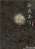 西出玉门关电视剧