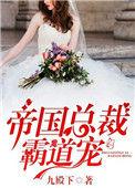 帝国总裁霸道宠苏锦溪司厉霆