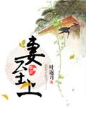 宅妻至上