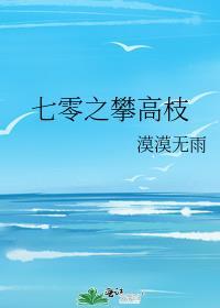 七零之攀高枝讲的什么